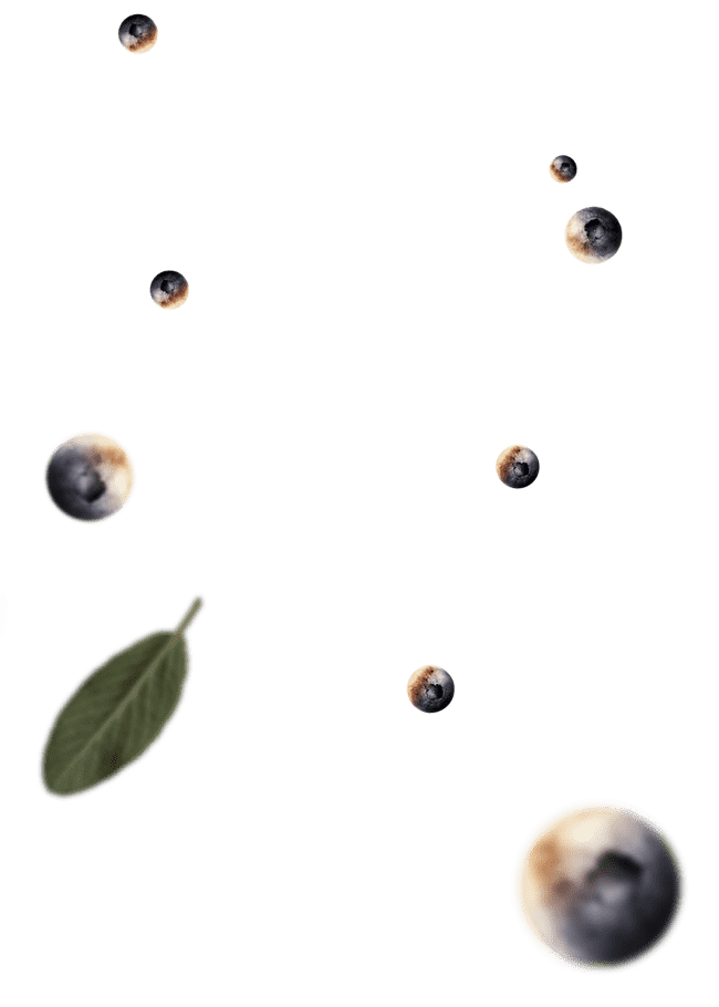FISINI